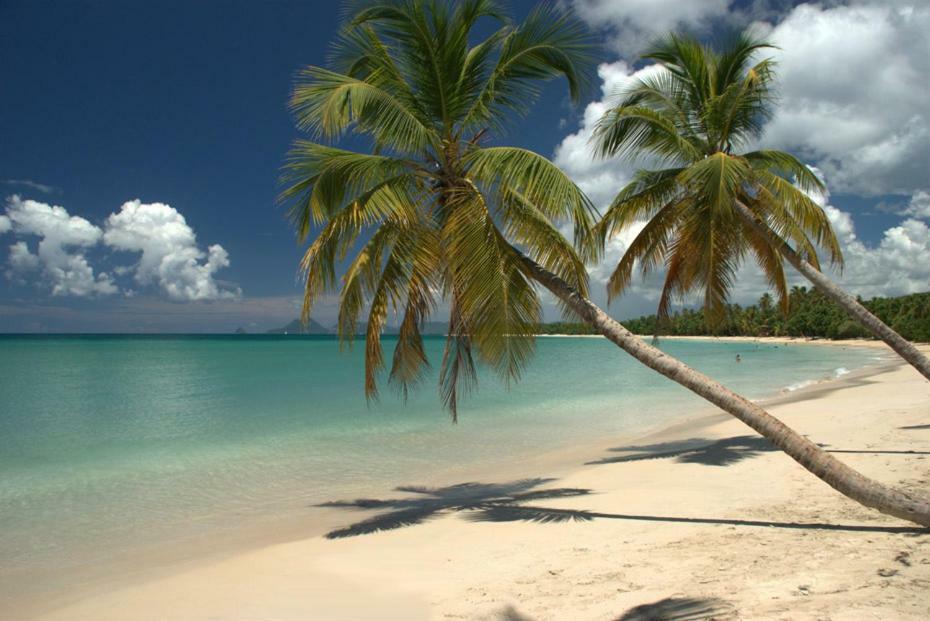 Holidays In Martinique - Ravenala แซ็งแตนน์ ภายนอก รูปภาพ