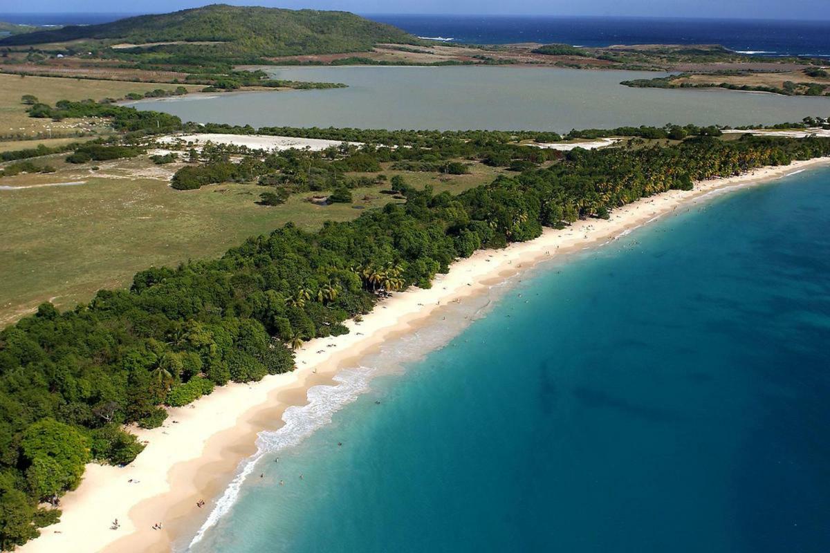 Holidays In Martinique - Ravenala แซ็งแตนน์ ภายนอก รูปภาพ