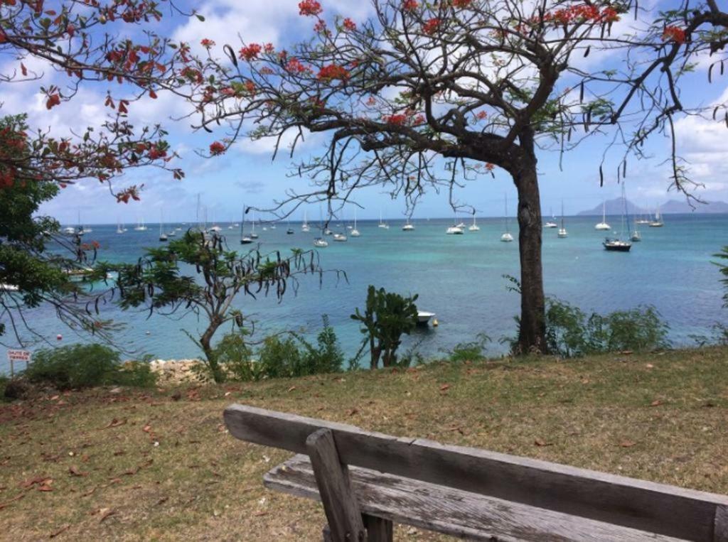 Holidays In Martinique - Ravenala แซ็งแตนน์ ภายนอก รูปภาพ