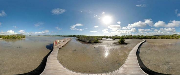 Holidays In Martinique - Ravenala แซ็งแตนน์ ภายนอก รูปภาพ